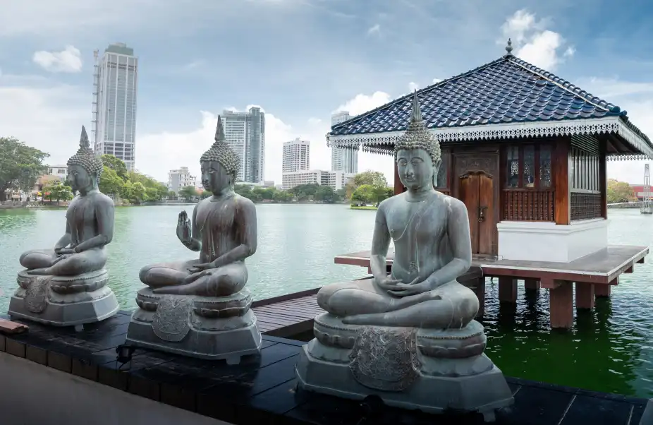 9. Colombo