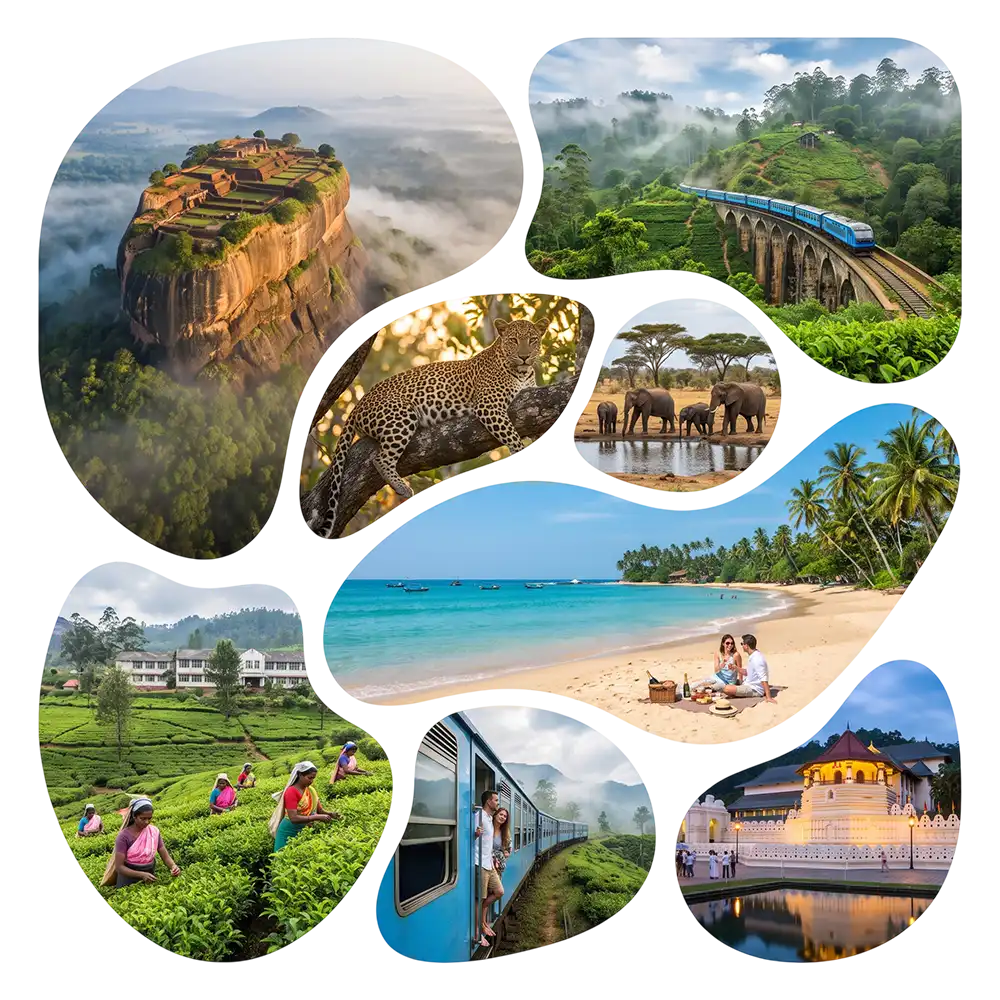 Tour Packages main