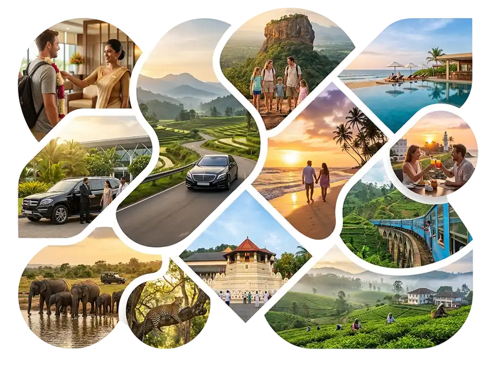 our services